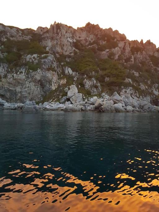 Villa Contemporaine F5 Cote Azur Ollioules Calme Εξωτερικό φωτογραφία
