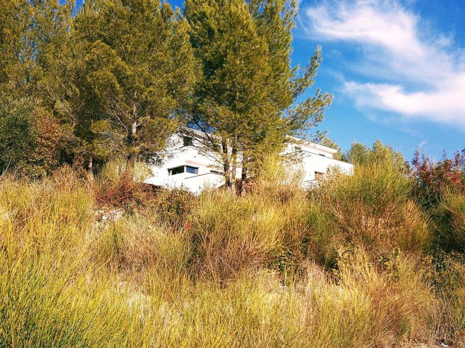 Villa Contemporaine F5 Cote Azur Ollioules Calme Εξωτερικό φωτογραφία